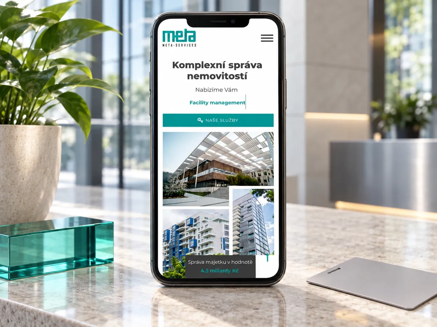 Web Metaservices